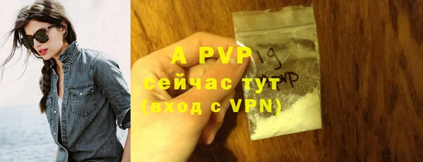 шишки Балабаново
