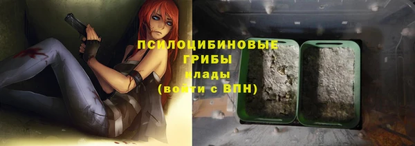 шишки Балабаново