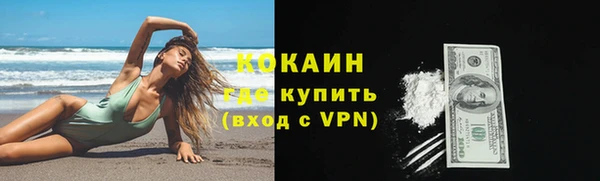шишки Балабаново