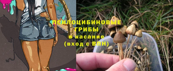 шишки Балабаново
