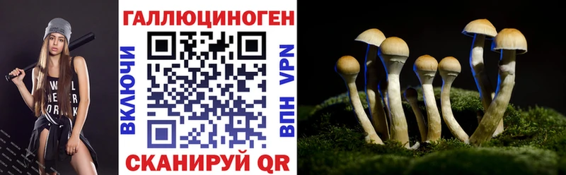 Псилоцибиновые грибы Cubensis сколько стоит Ульяновск